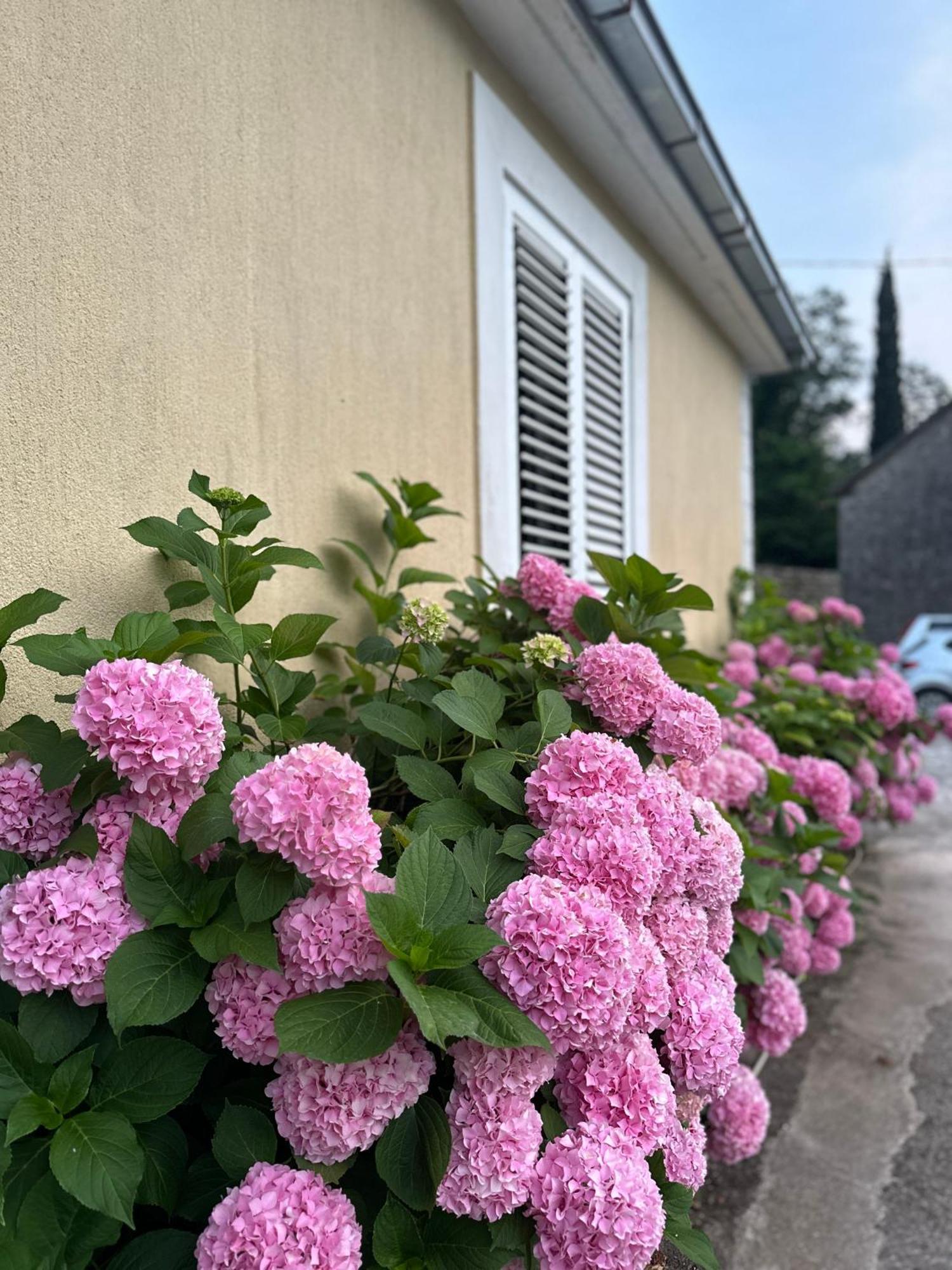 Etno Village Mihailovic Herceg Novi Exteriör bild