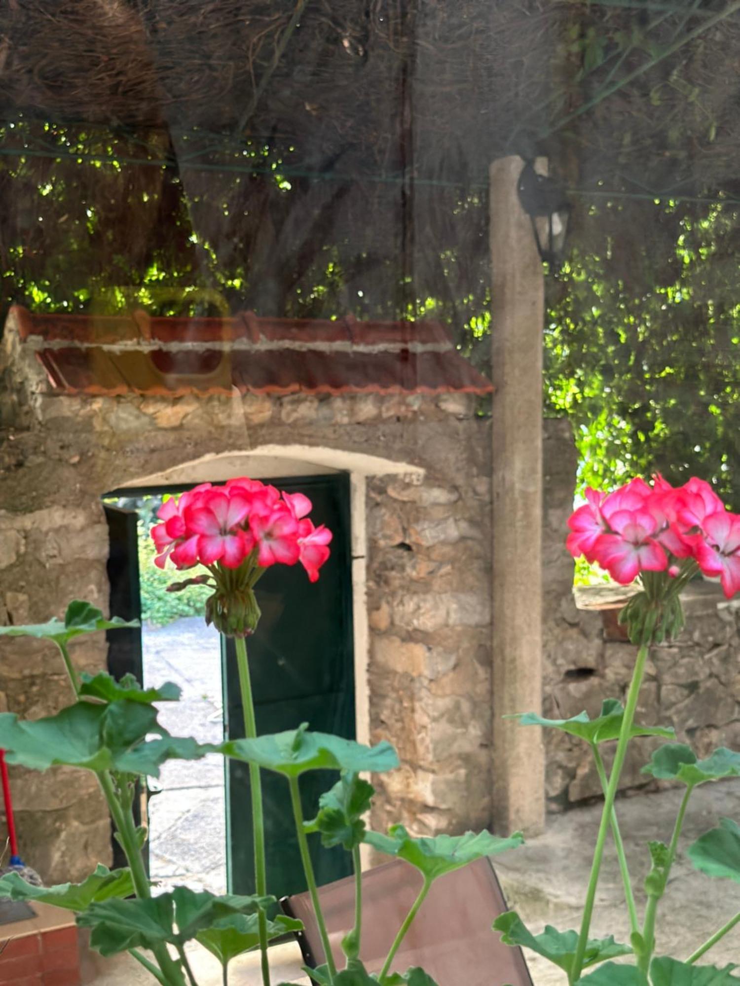 Etno Village Mihailovic Herceg Novi Exteriör bild