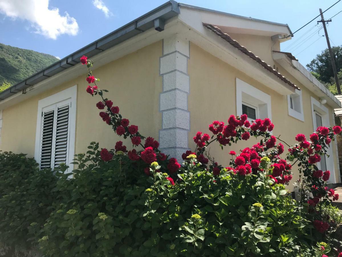Etno Village Mihailovic Herceg Novi Exteriör bild